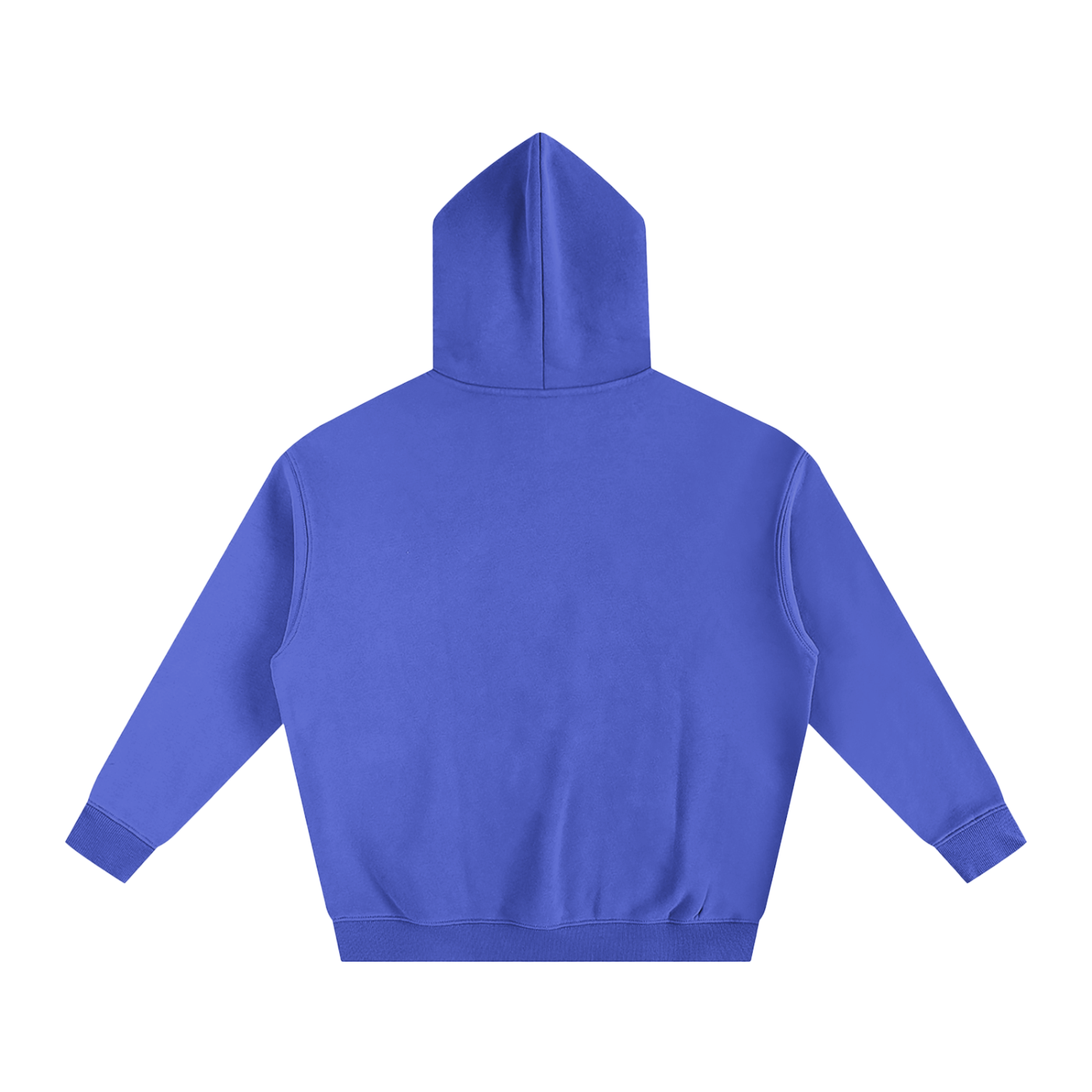 RGB PARROT HOODIE